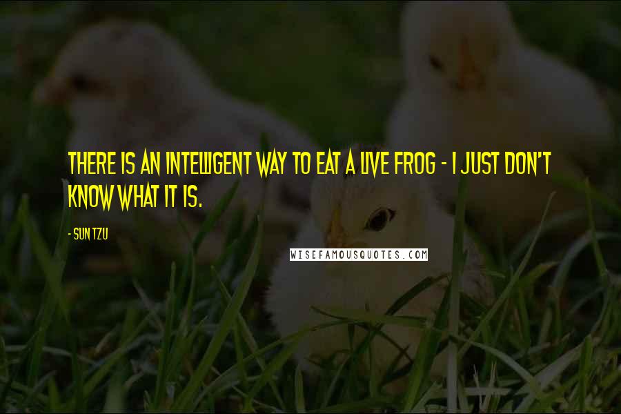 Sun Tzu Quotes: There is an intelligent way to eat a live frog - I just don't know what it is.