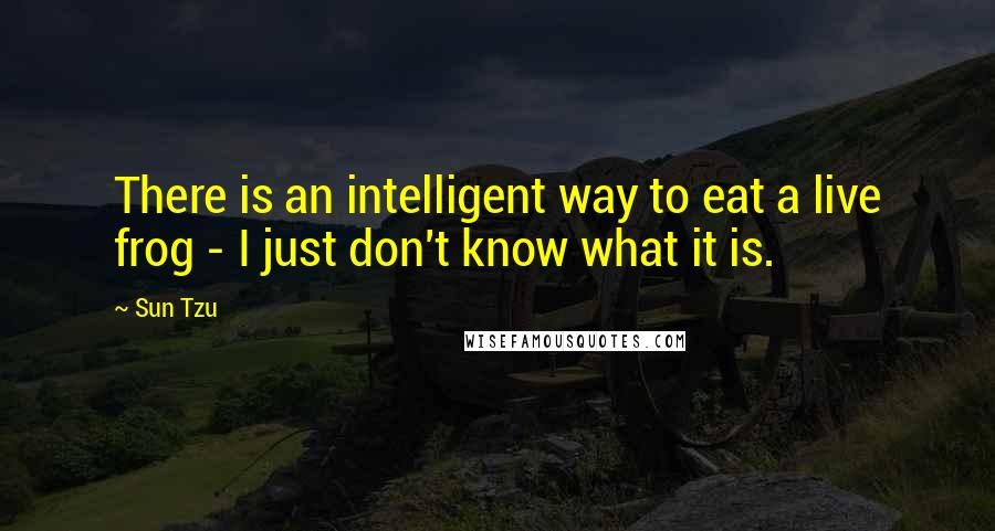 Sun Tzu Quotes: There is an intelligent way to eat a live frog - I just don't know what it is.