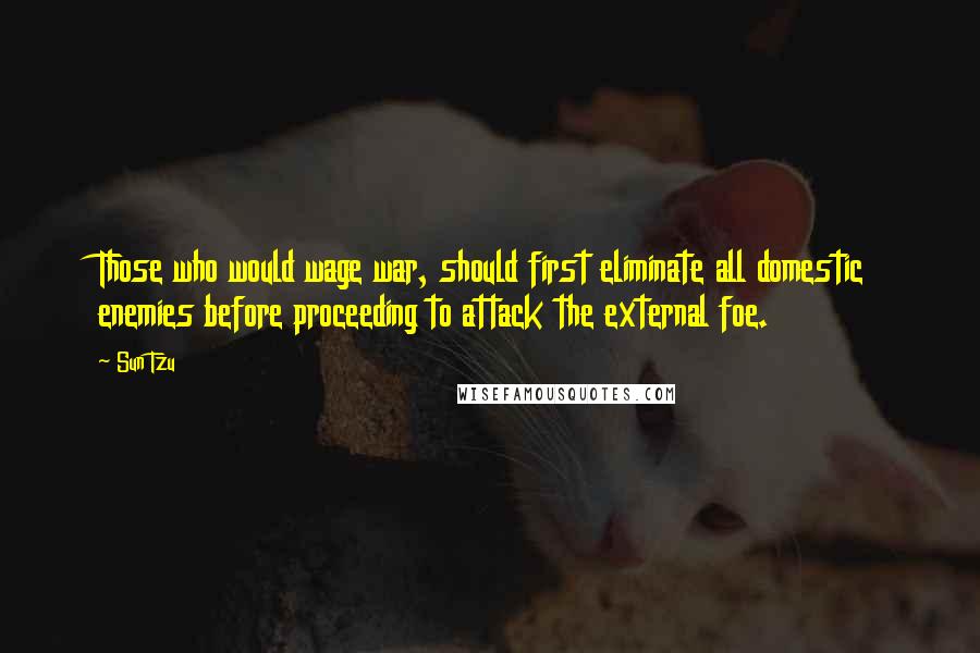 Sun Tzu Quotes: Those who would wage war, should first eliminate all domestic enemies before proceeding to attack the external foe.