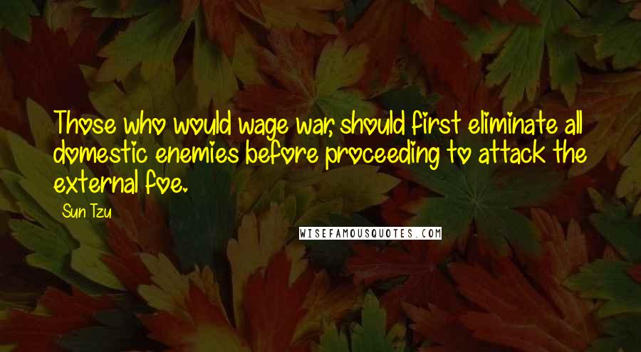 Sun Tzu Quotes: Those who would wage war, should first eliminate all domestic enemies before proceeding to attack the external foe.