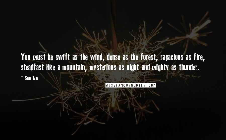 Sun Tzu Quotes: You must be swift as the wind, dense as the forest, rapacious as fire, steadfast like a mountain, mysterious as night and mighty as thunder.