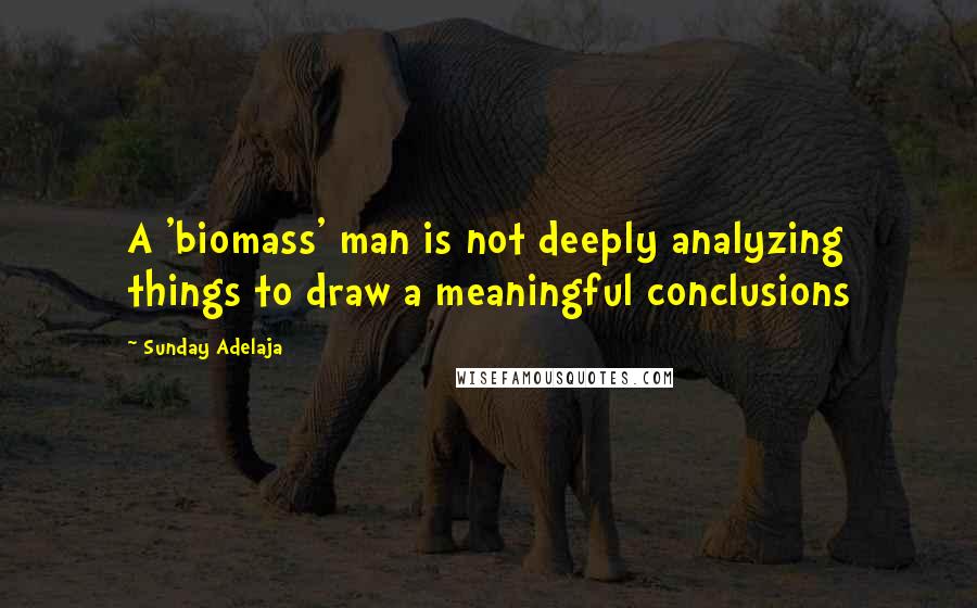 Sunday Adelaja Quotes: A 'biomass' man is not deeply analyzing things to draw a meaningful conclusions