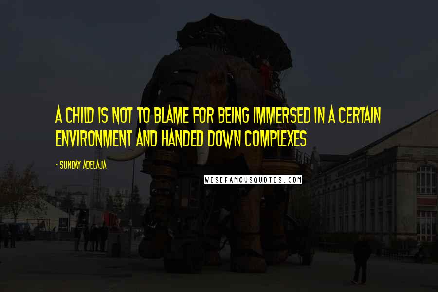 Sunday Adelaja Quotes: A child is not to blame for being immersed in a certain environment and handed down complexes