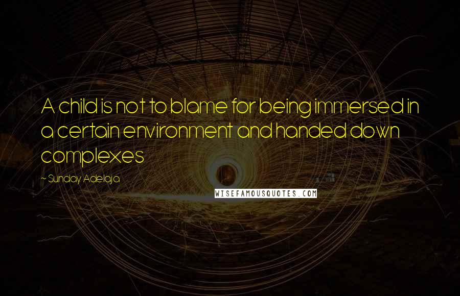 Sunday Adelaja Quotes: A child is not to blame for being immersed in a certain environment and handed down complexes