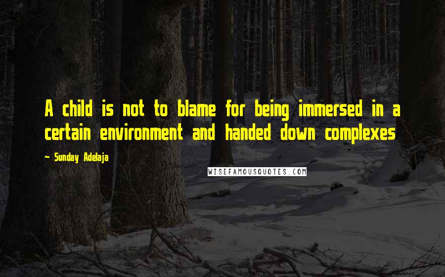 Sunday Adelaja Quotes: A child is not to blame for being immersed in a certain environment and handed down complexes