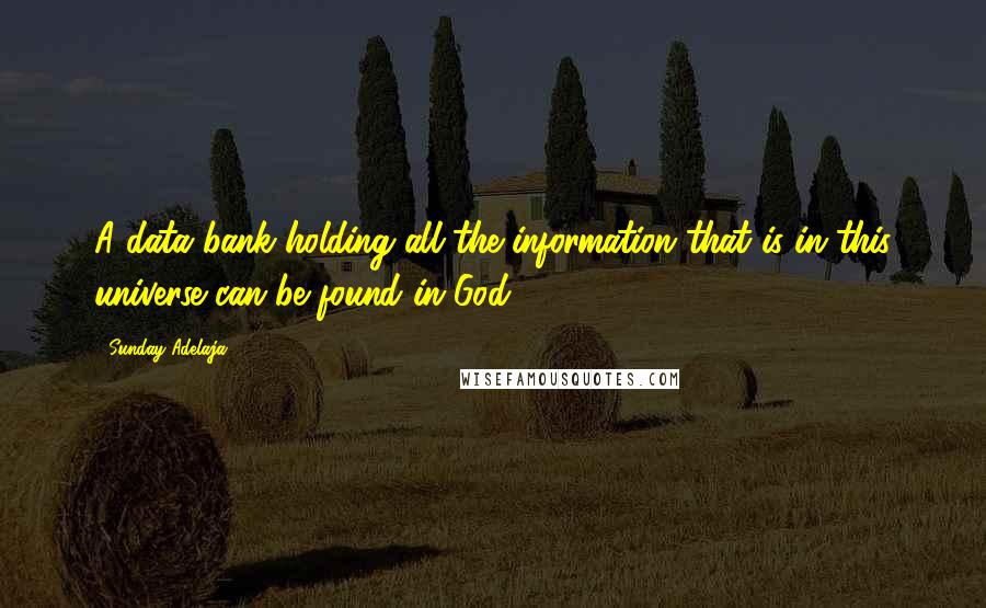 Sunday Adelaja Quotes: A data bank holding all the information that is in this universe can be found in God