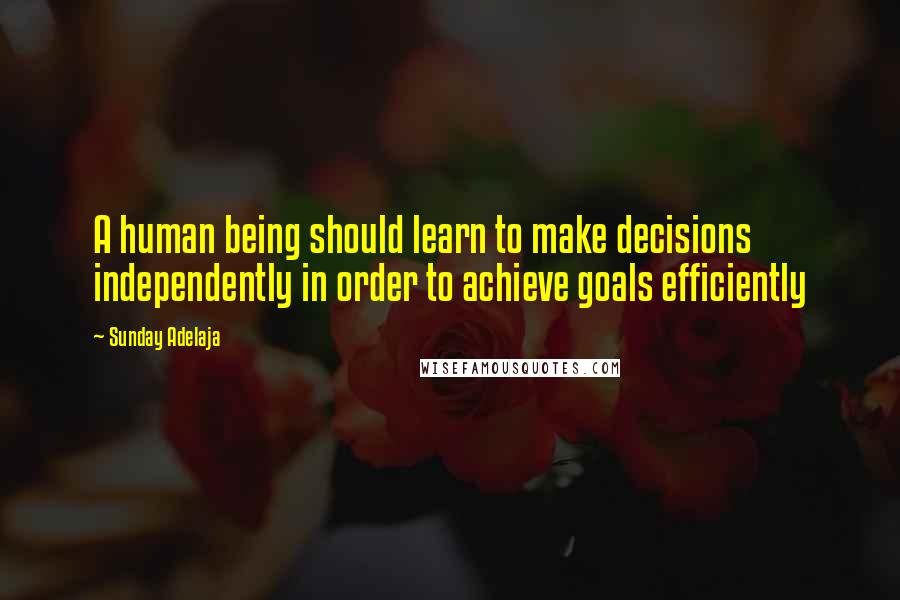 Sunday Adelaja Quotes: A human being should learn to make decisions independently in order to achieve goals efficiently