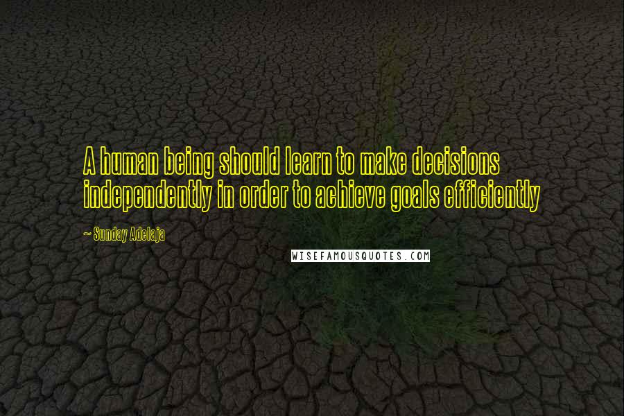 Sunday Adelaja Quotes: A human being should learn to make decisions independently in order to achieve goals efficiently