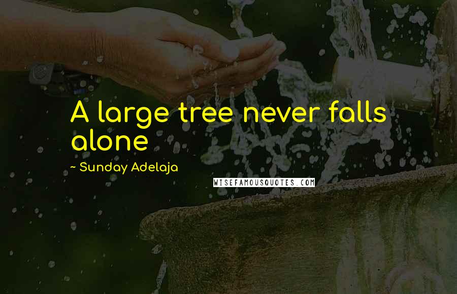 Sunday Adelaja Quotes: A large tree never falls alone