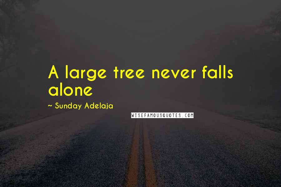 Sunday Adelaja Quotes: A large tree never falls alone