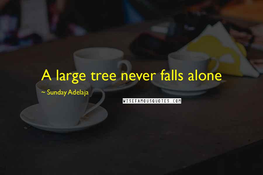 Sunday Adelaja Quotes: A large tree never falls alone