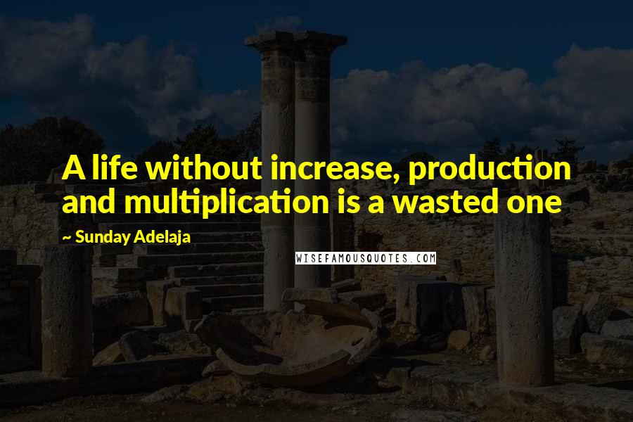 Sunday Adelaja Quotes: A life without increase, production and multiplication is a wasted one