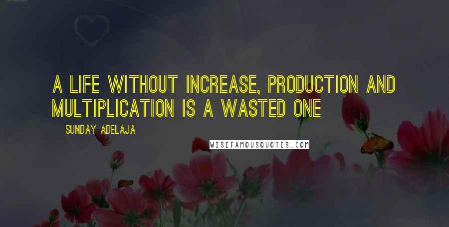 Sunday Adelaja Quotes: A life without increase, production and multiplication is a wasted one