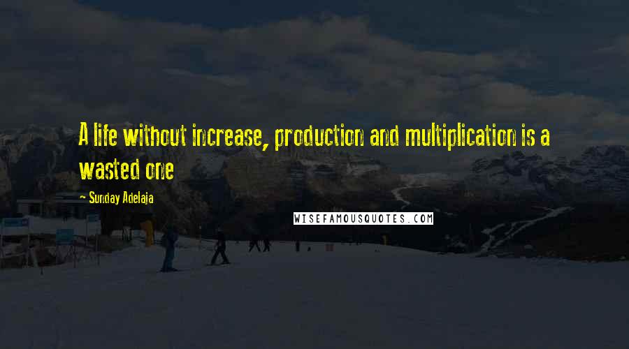 Sunday Adelaja Quotes: A life without increase, production and multiplication is a wasted one