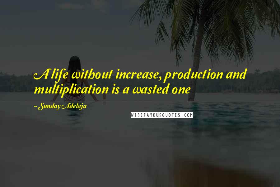 Sunday Adelaja Quotes: A life without increase, production and multiplication is a wasted one