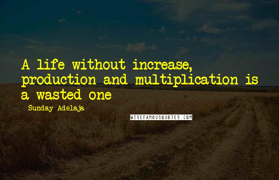 Sunday Adelaja Quotes: A life without increase, production and multiplication is a wasted one
