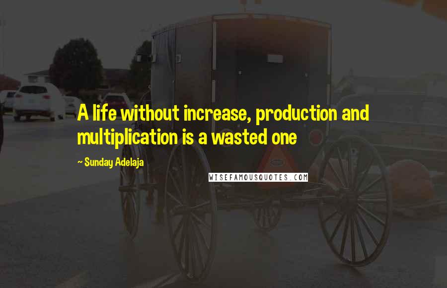 Sunday Adelaja Quotes: A life without increase, production and multiplication is a wasted one
