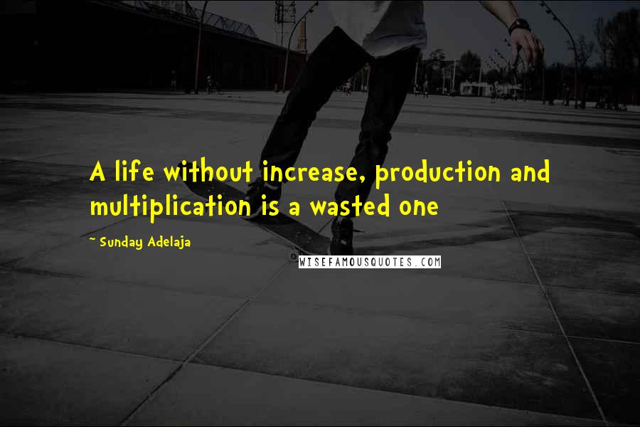 Sunday Adelaja Quotes: A life without increase, production and multiplication is a wasted one