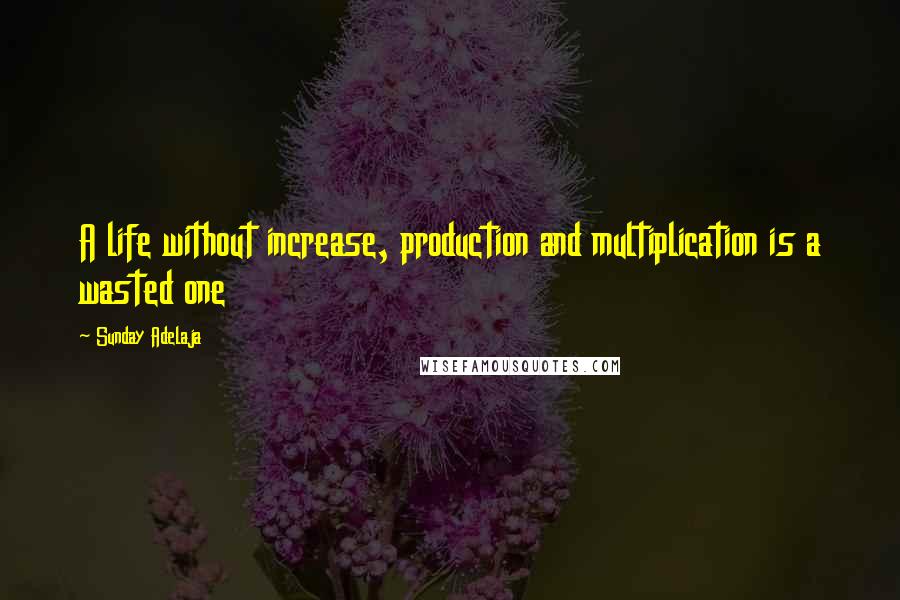 Sunday Adelaja Quotes: A life without increase, production and multiplication is a wasted one