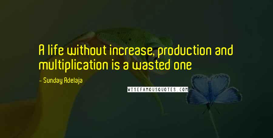 Sunday Adelaja Quotes: A life without increase, production and multiplication is a wasted one