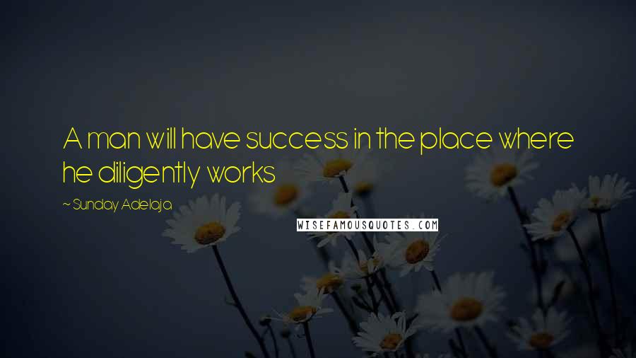 Sunday Adelaja Quotes: A man will have success in the place where he diligently works