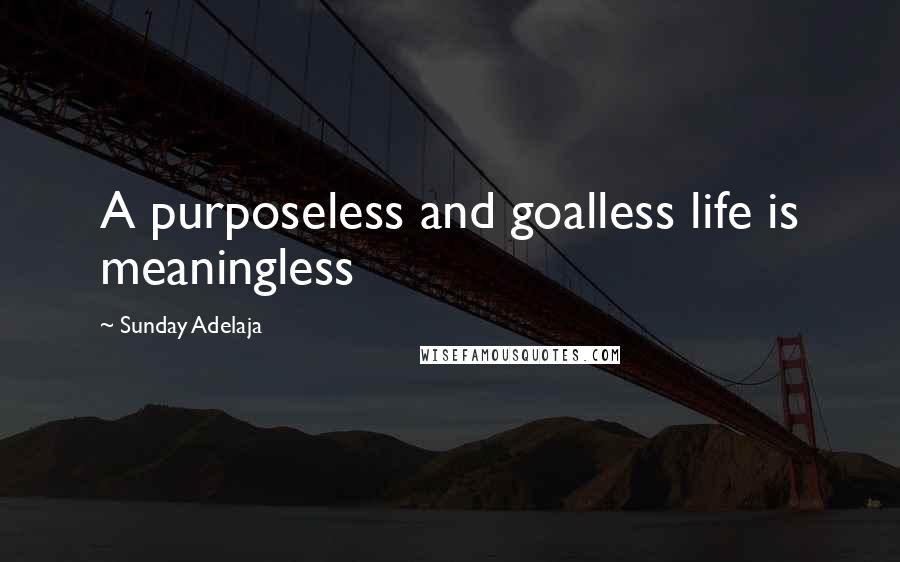 Sunday Adelaja Quotes: A purposeless and goalless life is meaningless