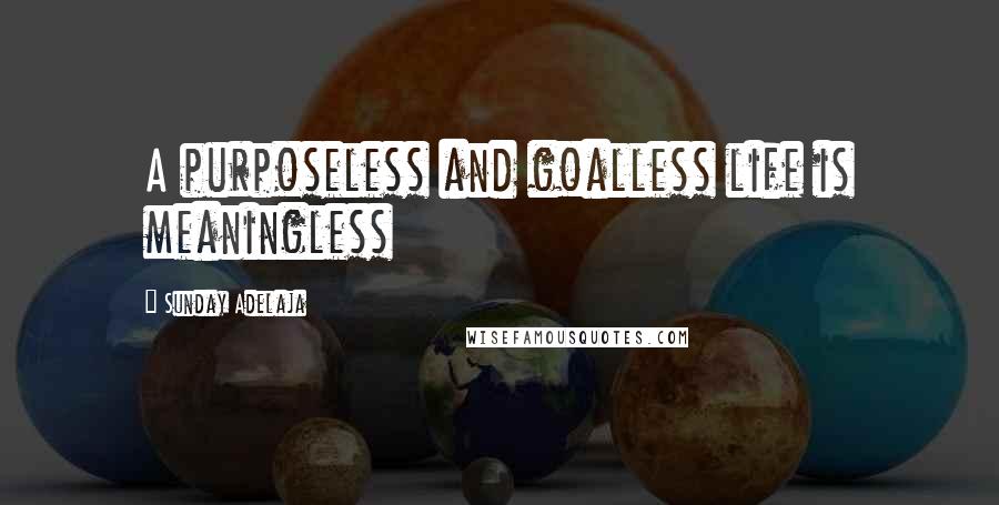 Sunday Adelaja Quotes: A purposeless and goalless life is meaningless