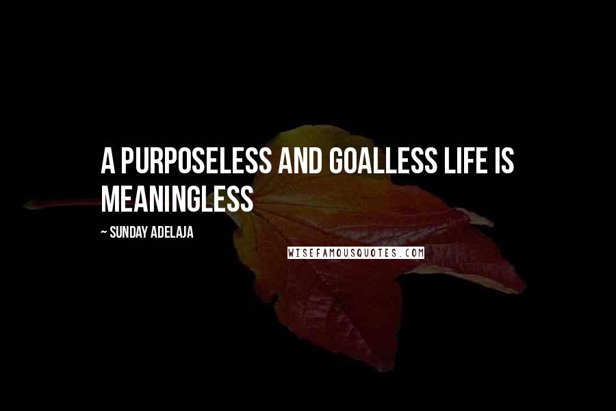 Sunday Adelaja Quotes: A purposeless and goalless life is meaningless