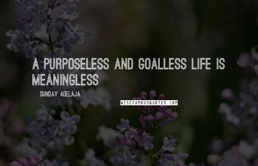 Sunday Adelaja Quotes: A purposeless and goalless life is meaningless