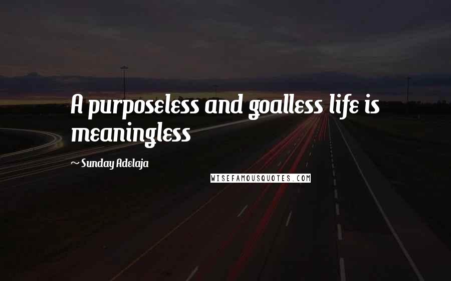Sunday Adelaja Quotes: A purposeless and goalless life is meaningless