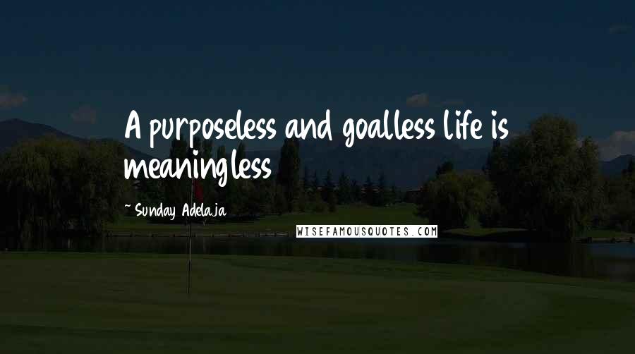 Sunday Adelaja Quotes: A purposeless and goalless life is meaningless