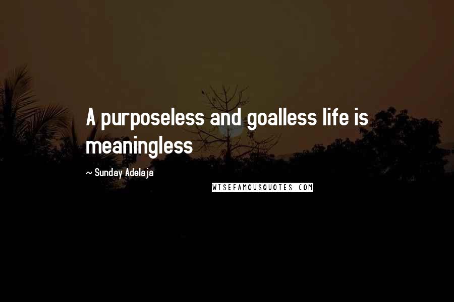 Sunday Adelaja Quotes: A purposeless and goalless life is meaningless