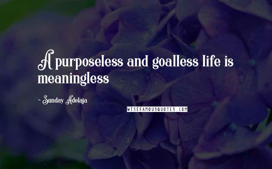Sunday Adelaja Quotes: A purposeless and goalless life is meaningless