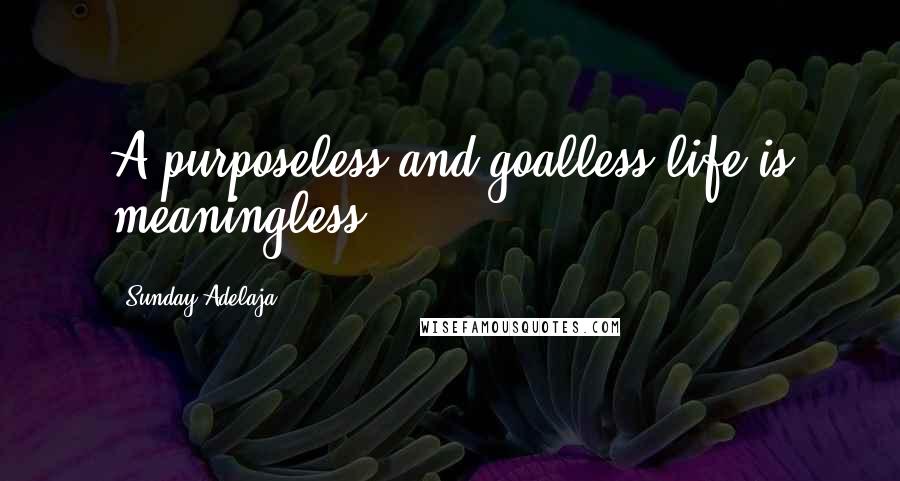Sunday Adelaja Quotes: A purposeless and goalless life is meaningless