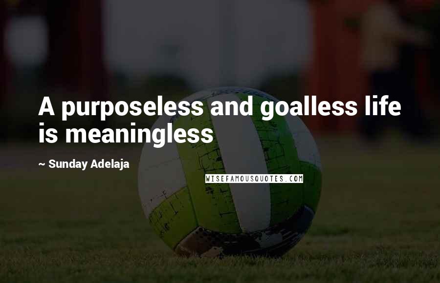 Sunday Adelaja Quotes: A purposeless and goalless life is meaningless