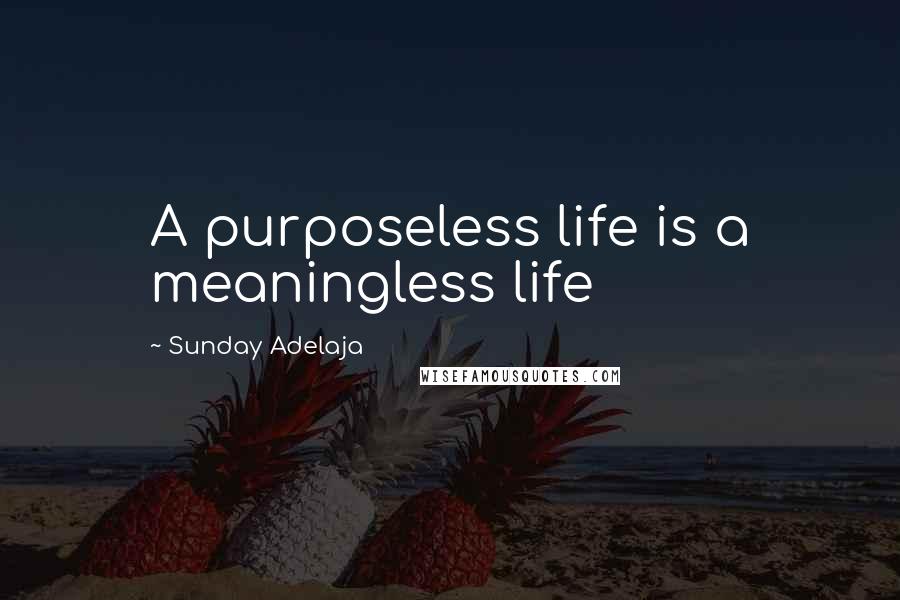 Sunday Adelaja Quotes: A purposeless life is a meaningless life