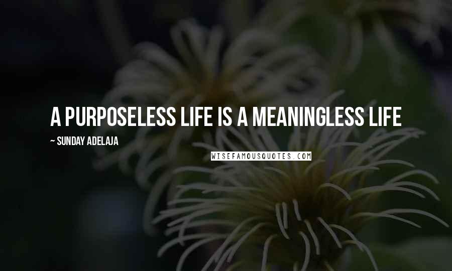 Sunday Adelaja Quotes: A purposeless life is a meaningless life