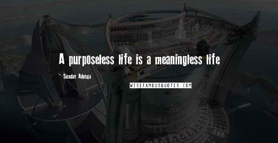 Sunday Adelaja Quotes: A purposeless life is a meaningless life