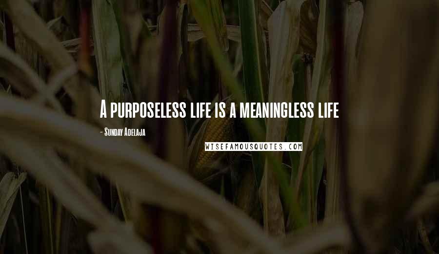 Sunday Adelaja Quotes: A purposeless life is a meaningless life