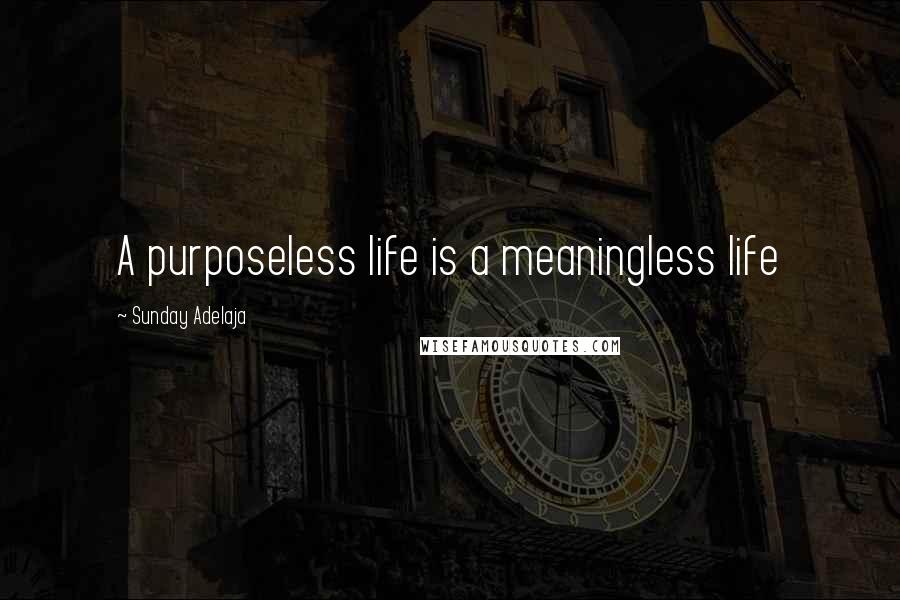 Sunday Adelaja Quotes: A purposeless life is a meaningless life