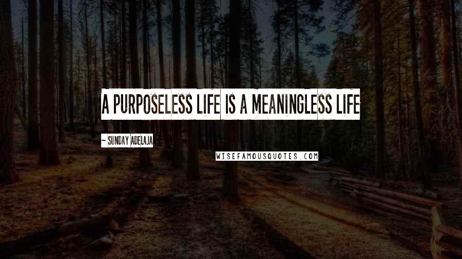 Sunday Adelaja Quotes: A purposeless life is a meaningless life