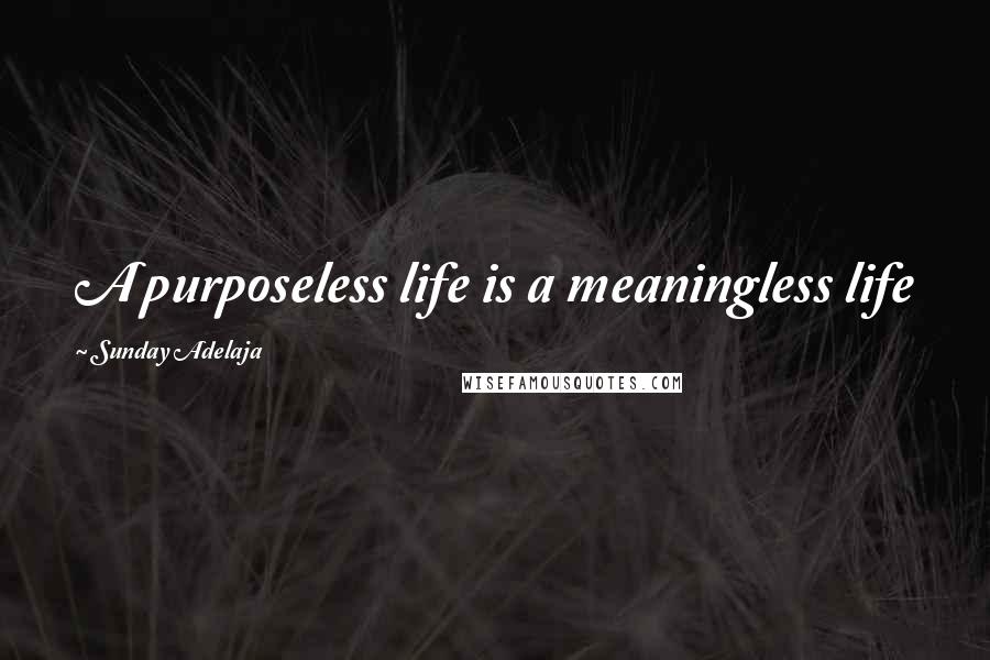 Sunday Adelaja Quotes: A purposeless life is a meaningless life