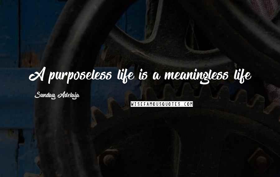 Sunday Adelaja Quotes: A purposeless life is a meaningless life