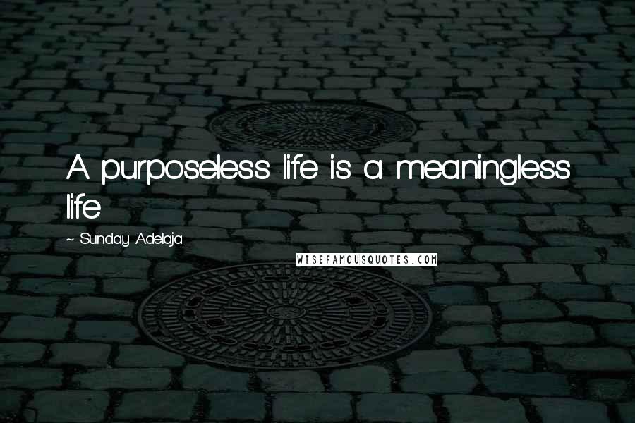 Sunday Adelaja Quotes: A purposeless life is a meaningless life