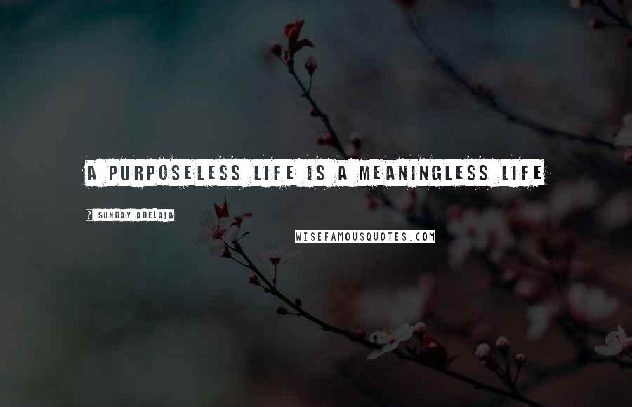 Sunday Adelaja Quotes: A purposeless life is a meaningless life