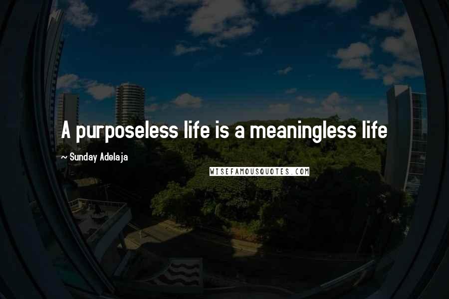 Sunday Adelaja Quotes: A purposeless life is a meaningless life