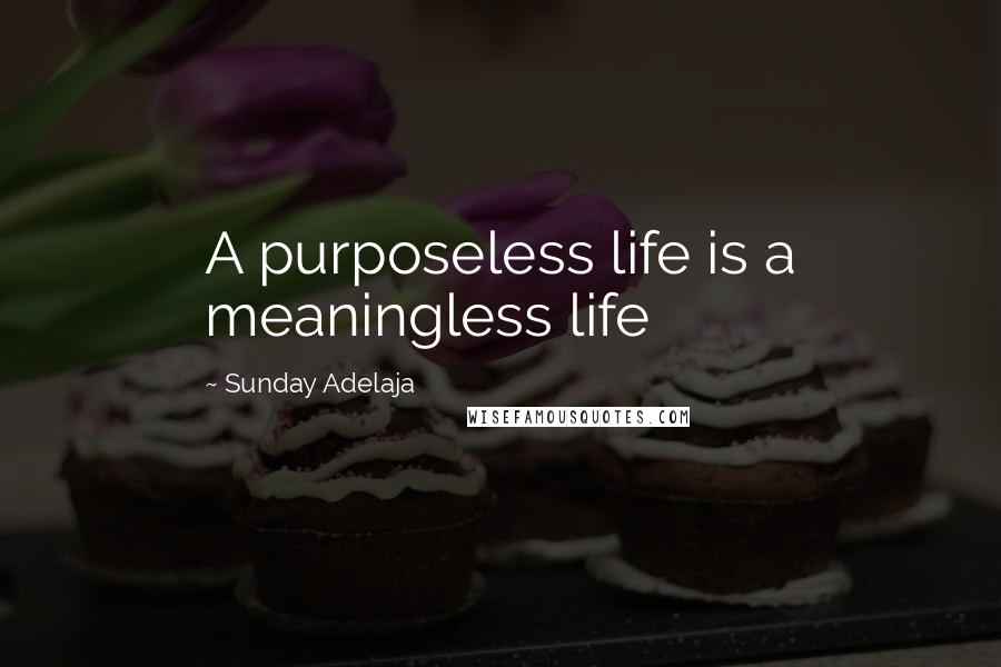 Sunday Adelaja Quotes: A purposeless life is a meaningless life