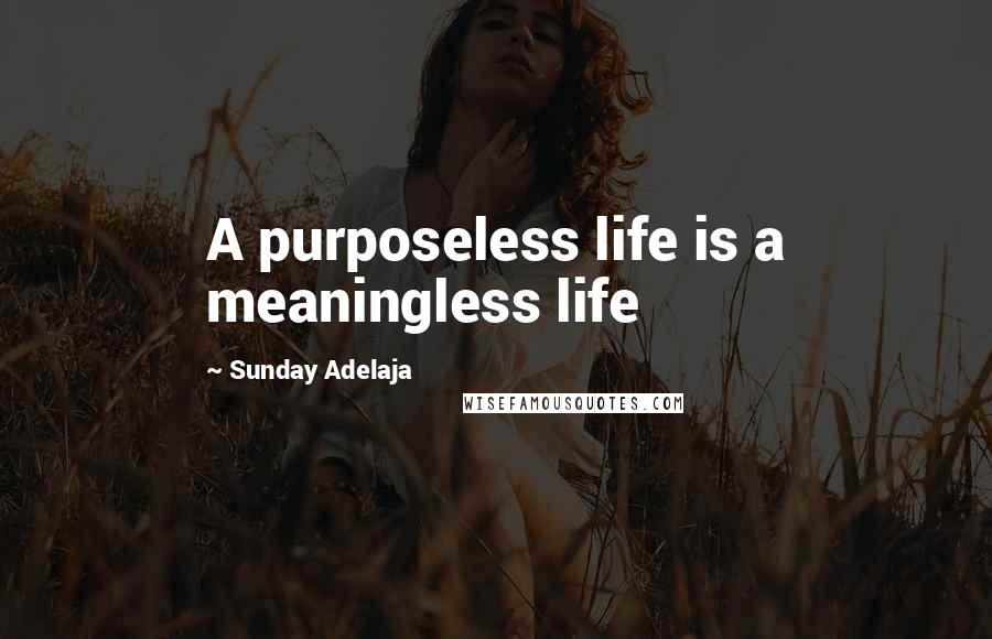 Sunday Adelaja Quotes: A purposeless life is a meaningless life