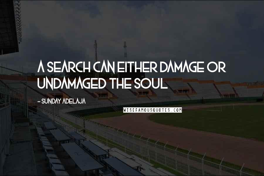 Sunday Adelaja Quotes: A search can either damage or undamaged the soul