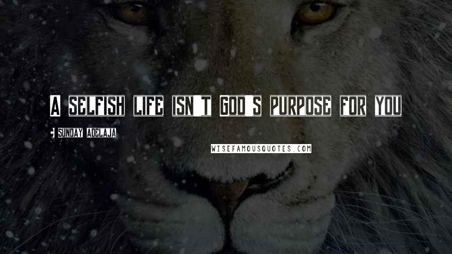 Sunday Adelaja Quotes: A selfish life isn't God's purpose for you